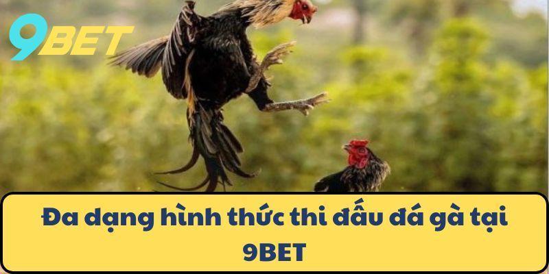 ⚽ Tập trung vào kèo bóng đá: Sân chơi cá cược nóng nhất châu Á, bắt đầu từ 9bet