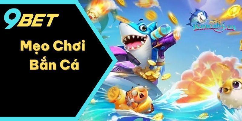 Các câu hỏi thường gặp về đăng ký và câu trả lời